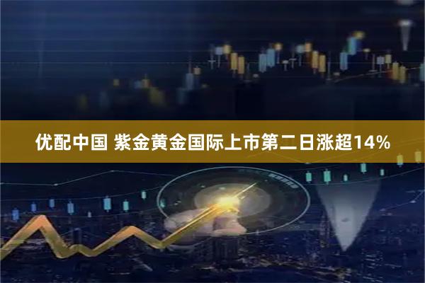 优配中国 紫金黄金国际上市第二日涨超14%